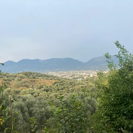 Villa Doa House Tirana